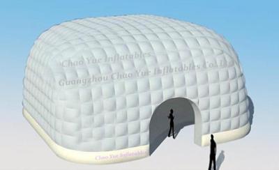 China Customized Inflatable Dome Tent, Event Tent (CY-M2114) for sale