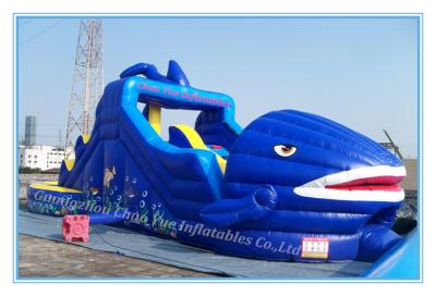 China Inflatable Jumping Castle& Bouncy Castle for Amusement Park (CY-M2076) for sale