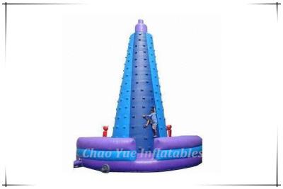 China 2015 New Style Inflatable Castle Climbing (CY-M2054) for sale