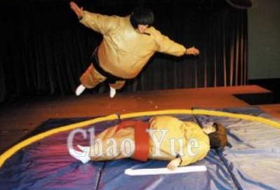 China Sumo Suits, Sumo Wresting Suits (CY-M1905) for sale