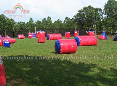 China Multi Player Inflatable Purple Paintball/ Paintball with Brand Logo for sale