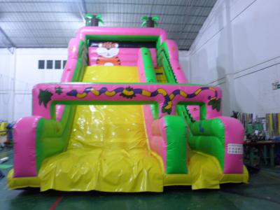 China Cheer Amusement Children Inflatable Slide for sale