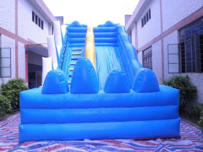 China 2014 New Giant Inflatable Water Slide for Adult/Biggest Inflatable Water Slide for Sale for sale