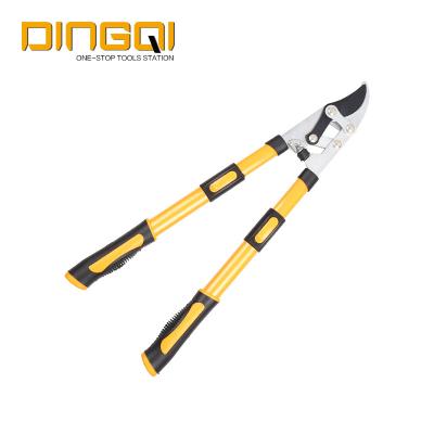 China DingQi good quality garden telescopic shears, garden telescopic scissors with long handle for sale