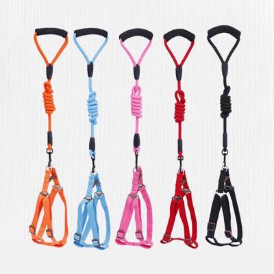 China Hot Selling Durable Durable Nylon Braided Rope Pet Leash Pet Collar And Leash for sale