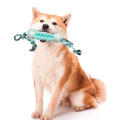 China Viable 2 in 1 Pet Toy with Unique Dog Bone Toothbrush Dog Chew Toys for Aggressive Chewers for sale