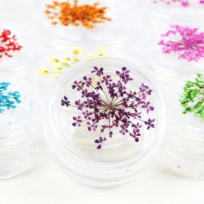 China Wholesale Natural Touch 3D Dried Flowers for Resin Dried Pressed Flowers for Resin Dried Flowers for Nails Art Decoration for sale