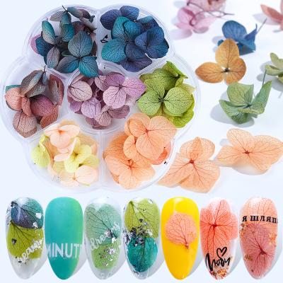 China Best Selling Natural Touch Dried Flower Nail Decoration Dried Flowers Mini Real Natural Flowers For Resin for sale