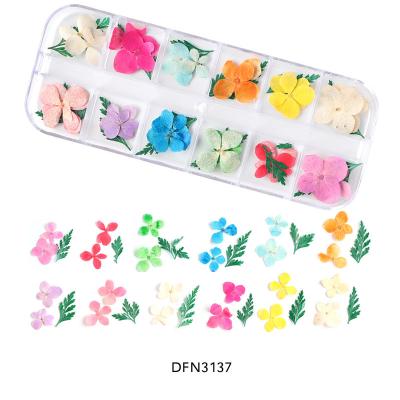 China Hot Sale Dry Nail Art Resin Dried Flower Pressed Natural Touch Flowers Dried Flowers for Resin Art Floral Decors for sale