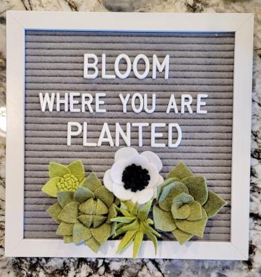 China Handmade decorative diy die cut succulents felt flowers manual 3d customized felt flowers letter board props for sale