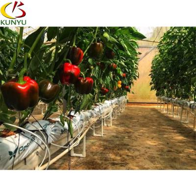 China Cheap Low Cost One Stop PE Service Commercial Vegetable Shade Plastic Sheet Fruit Breeding Agriculture Greenhouse Kit for sale