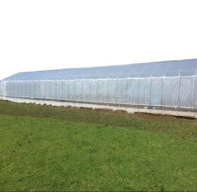 China Customizable PE Roughing Duct Grow Tent Kit Agricultural Tunnel Greenhouse For Sale for sale