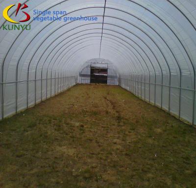 China Easily Assembled Poly Tunnel Green House High Strength Agricultural Tomato Greenhouse For Sale for sale