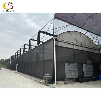 China Single Tunnel Greenhouse Easily Assembled Plastic Tunnel With Galvanized Steel (/Polycarbonate) for sale