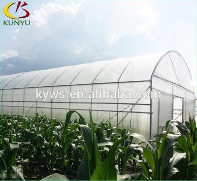 China Backyard PE Arch Roof Type Agricultural Versatile Greenhouse for sale