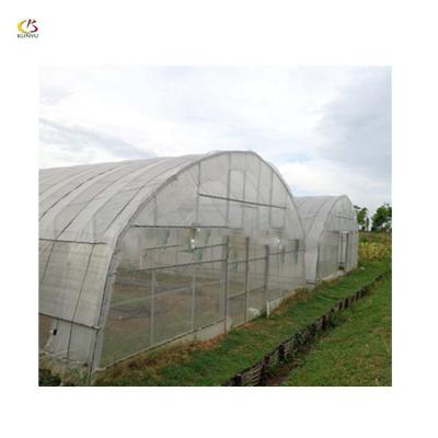 China High PE Tunnel Greenhouse Plastic Sheet Greenhouse Harvest Greenhouse for sale