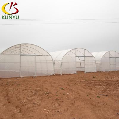 China PE Agricultural Plastic Tunnel Greenhouse for sale