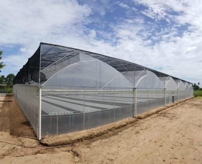 China PE Sawtooth Type Portable Greenhouse Tunnel Greenhouse Kits Geodesic Greenhouse for sale