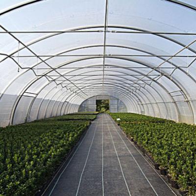 China Sustainable Single Tunnel Greenhouse Polycarbonate Advanced Homemade Vegetable Tunnel Greenhouse for sale