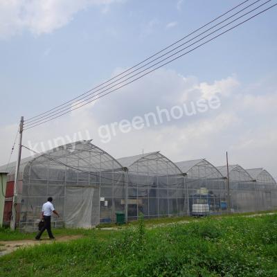 China Plan Growth Film Cover Arch Roof Hobby Single Layer Greenhouse For Strawberry Agricultural Clear UV Protection Plastic Tunnel for sale