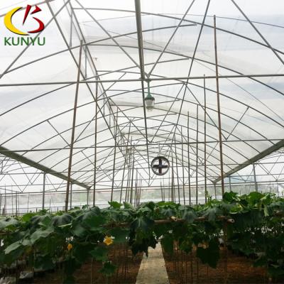 China PE Sawtooth Metal Frame Greenhouse Steel Frame Solar Installed Greenhouse For Vegetable Growing for sale