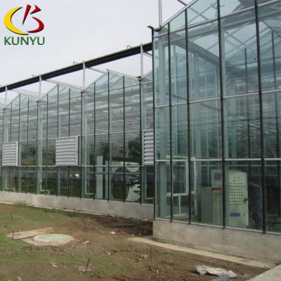 China Foshan Kunyu Glass Galvanized Steel Structure Glass Cover Greenhouse Used Commercial Greenhouses for sale