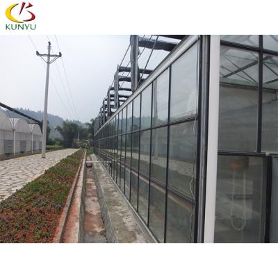 China Foshan Kunyu Venlo Glass Commercial Type Tempered Glass Covered Vegetable Greenhouse for sale