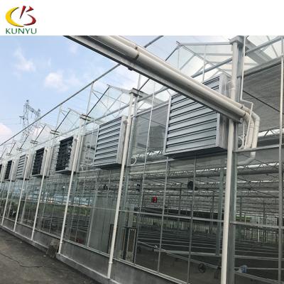 China Foshan kunyu glass strong proof venlo type cover tempered glass greenhouse greenhouse with growing bench system for sale