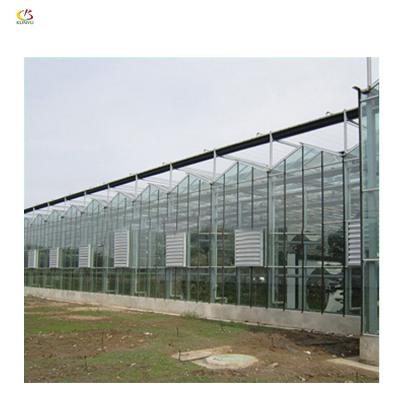 China Venlo Roof Type Plexiglass Greenhouse Toughened Greenhouse Glass Greenhouse for sale