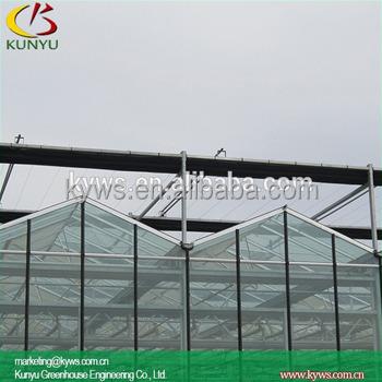 China Plexiglass Greenhouse Venlo Single Roof Glass Type Greenhouse for sale