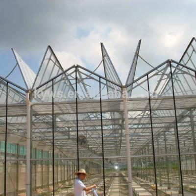 China High Quality Glass 2022 Glass Not Easy Damage Complete Greenhouse System Kit for sale