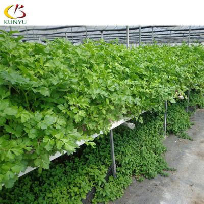 China Efficiently High Efficiency High Hydroponic Supplies Commercial Vertical Stage In Hydroponic Greenhouse for sale