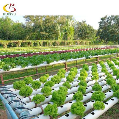 China High Efficient and Crop Durable PVC Pipe Hydroponic Gutter with Drip Irrigation System Growing Leafy Vegetable Greenhouse for sale