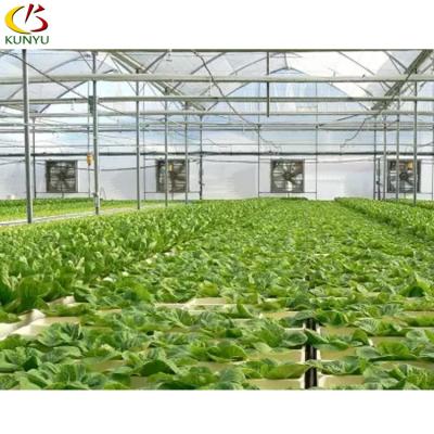 China Hydroponic Fodder Container System Grow Farms Irrigation&Hydroponics Equipment For Leafy Lettuce Plants for sale