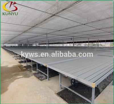 China Hot dip steel / ganlvanized aluminum alloy / plastic agricultural ebb flow trays rolling bench system for greenhouse for sale