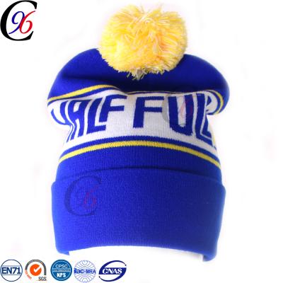 China Brand COMMON cheap winter Chengxing crochet outdoor woven jacquard printed ski quality pom beanie winter acrylic knitted hat for sale