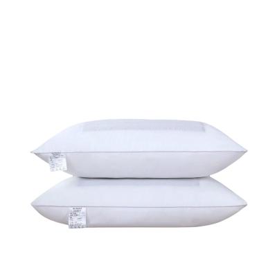 China Sustainable Wholesale white cotton Sleep Aid Neck Pillow Comfortable Fill buckwheat Bedding pillow core for sale