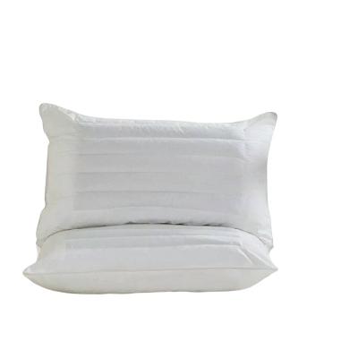 China Sustainable New 100%cotton organic Super Soft Feather Velvet neck protection buckwheat Bedding pillow core for sale