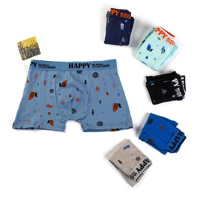 China 2021 New Arrival Cotton Breathable Briefs Kids Daily Bath Briefs Boy's Briefs for sale