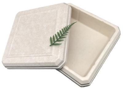 China 45*45*25MM Beige Color Sustainable Bagasse Box Lightweight EcoPack Accessories Custom And Reusable For Eco-Conscious Packaging for sale