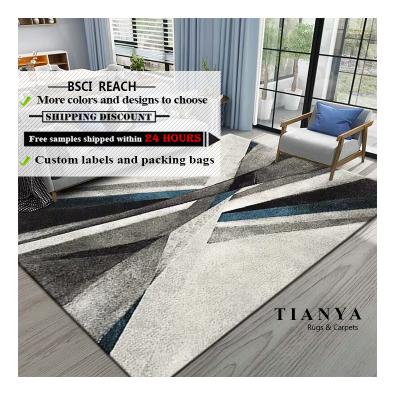 China Factory direct modern 2021 living room rug bedroom carpet washable for sale