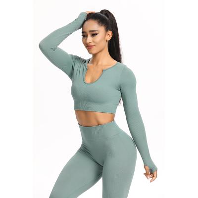 China Breathable Custom Logo Plus Size Gym Sports Teams Apparel Fitness Two Piece Seamless Activewear Workout Suit Wear Yoga Set Women for sale