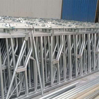 China Farms Hot Dip Galvanized Steel Pipe Cow Starter Head Lock For Dairy Farm for sale