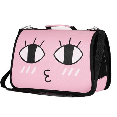 China 2023 New Design Sustainable Fashion Cartoon Cute Expression Oxford Cloth Pet Carrier for sale