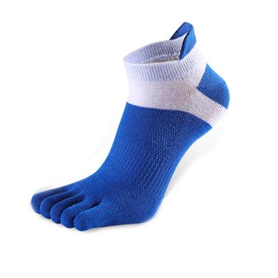 China Limited Time Sports Discounts Mesh Cotton Material Sporty Five Toe Socks For Man for sale