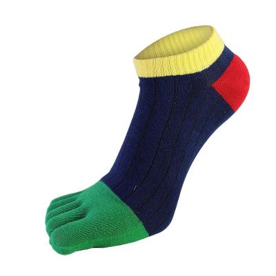 China Sporty New Product Listing Brightly Colored Stain Resistant 5 Toe Casual Socks For Man for sale