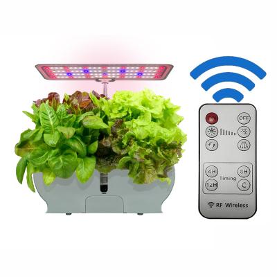 China American Lazy Planter Pot Hydroponic Pot Planter Pot Self Watering Self Style Indoor Gardening with Plant Grow Light System for sale