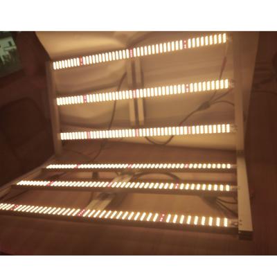 China Seed start grow light Weixinli lm301h lm301b qb288 led bar fluence spydr led grow light 3000K 3500k 5000K for sale