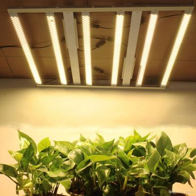 China Seed Starting Led Newcomer Grow Light Bar 300w 600w Grow Lights 3000K 3500K 4000K White Full Spectrum for sale