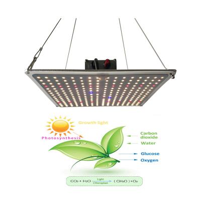 China Seed starting grow lights led full spectrum 120W lm301b 3030 lm281b 2835 chips grower led grow light with IR UV for sale